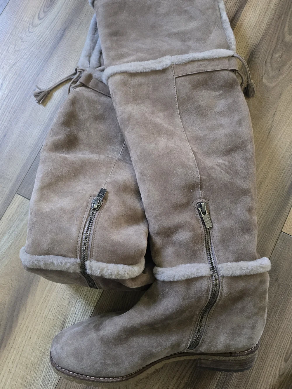 Frye Suede Riding Boots in Taupe Size 7